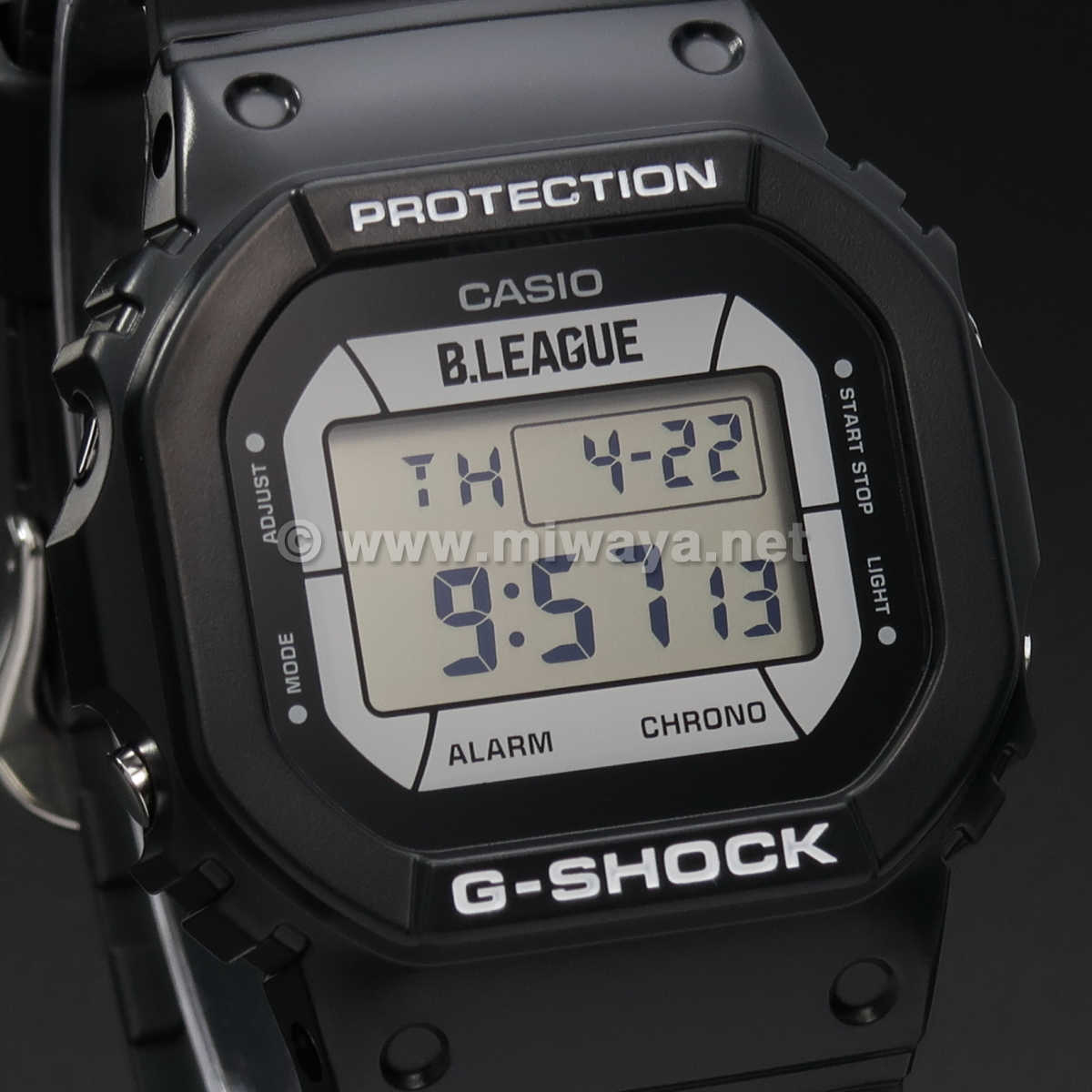 【G-SHOCK】DW-5600BLG21-1JR