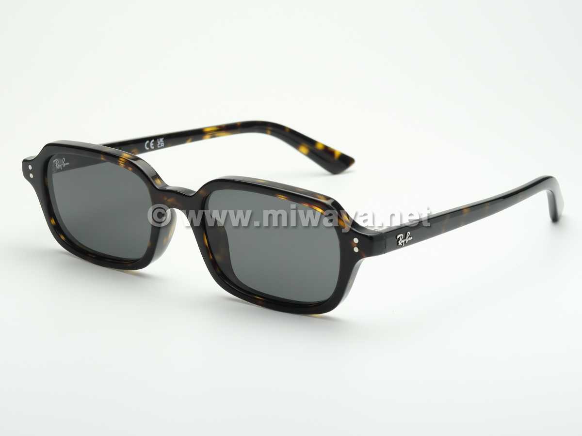 【RayBan】RB4455F 135987 51