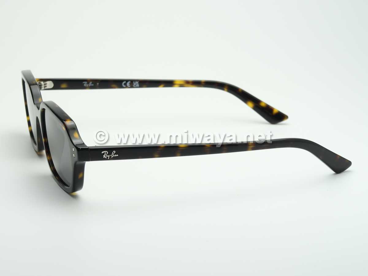 【RayBan】RB4455F 135987 51