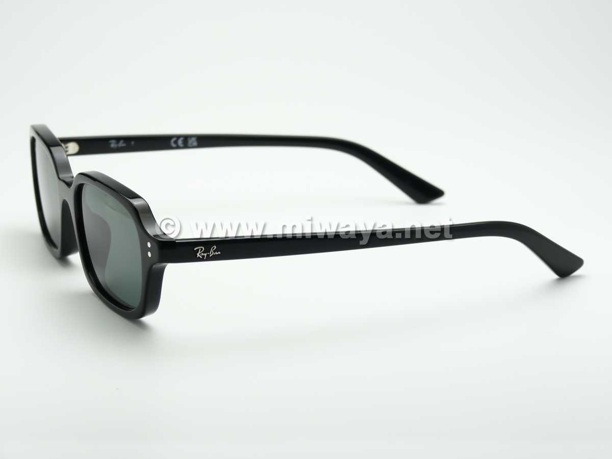 【RayBan】RB4455F 667771 51