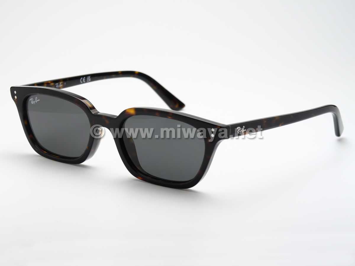 【RayBan】RB4456F 135987 52