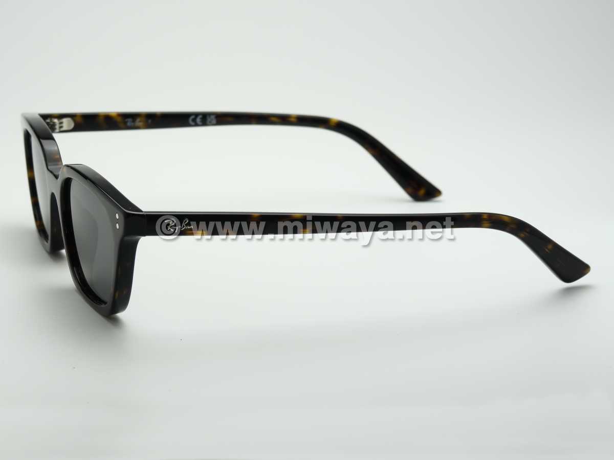 【RayBan】RB4456F 135987 52